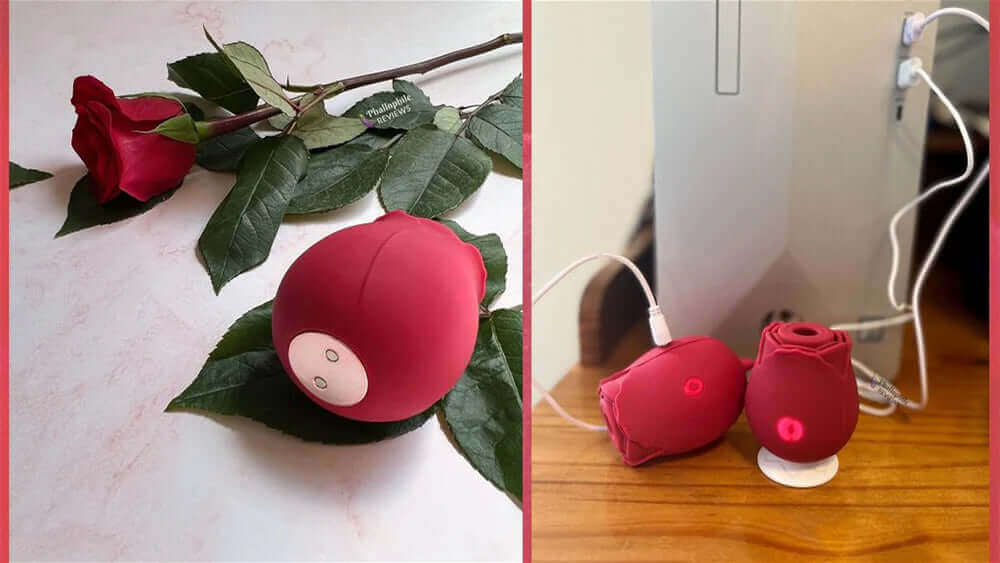 How to Charge Rose Toy? How Long Does It Take to Charge? How to Charge Rose Toy? How Long Does It Take to Charge?