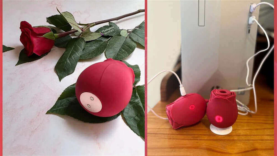 How Long Does It Take a Rose Toy to Charge?