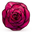 Logo von RoseToyOfficial