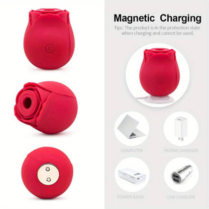 https://rosetoyofficial-us.com/cdn/shop/products/Magnetic-Charging.jpg?v=1691072406&width=416